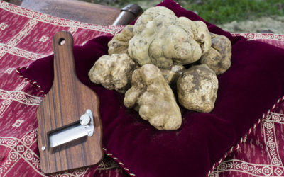 All’89° Fiera del Tartufo Bianco di Alba