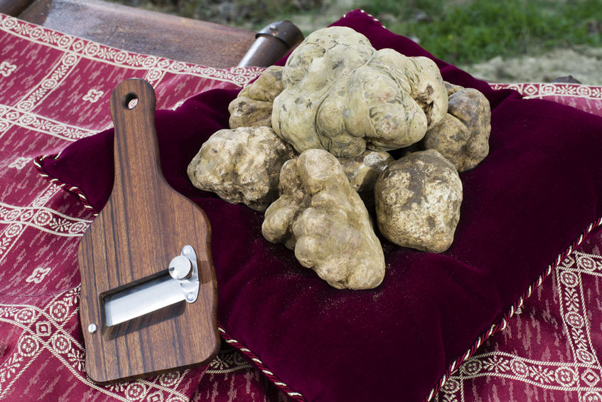 All’89° Fiera del Tartufo Bianco di Alba